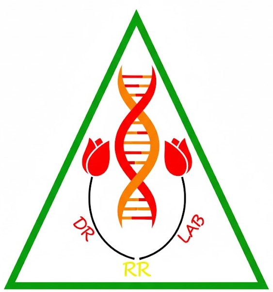 Dr RR Lab Logo