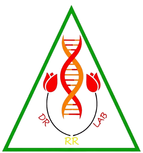 Dr RR Lab Logo